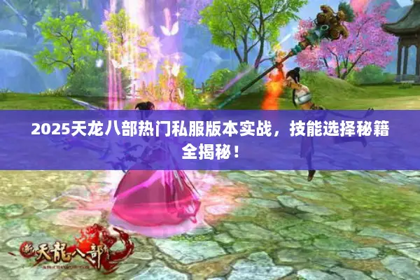 2025天龙八部热门私服版本实战，技能选择秘籍全揭秘！