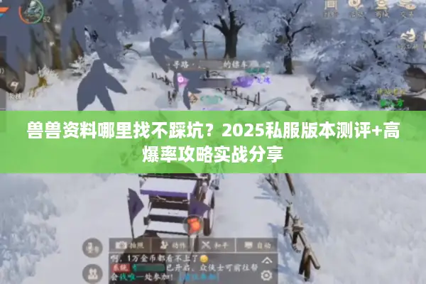 兽兽资料哪里找不踩坑？2025私服版本测评+高爆率攻略实战分享
