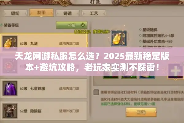 天龙网游私服怎么选？2025最新稳定版本+避坑攻略，老玩家实测不踩雷！