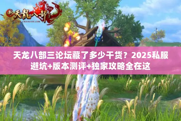 天龙八部三论坛藏了多少干货?2025私服避坑+版本测评+独家攻略全在这 天龙八部三论坛藏了多少干货?2025私服避坑+版本测评+独家攻略全在这