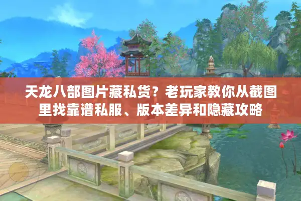 天龙八部图片藏私货？老玩家教你从截图里找靠谱私服、版本差异和隐藏攻略