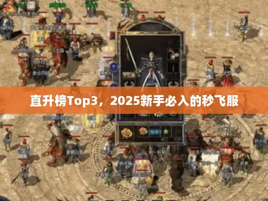 直升榜Top3，2025新手必入的秒飞服