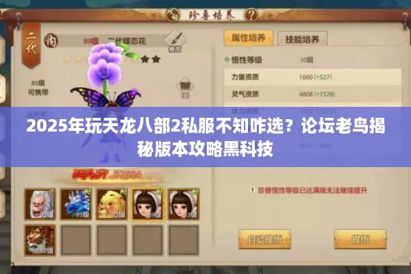 2025年玩天龙八部2私服不知咋选？论坛老鸟揭秘版本攻略黑科技