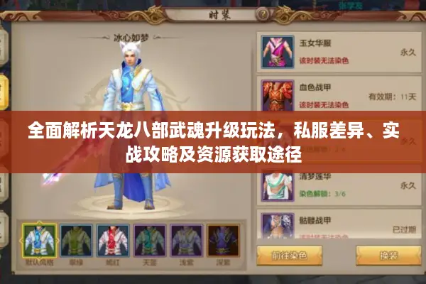 全面解析天龙八部武魂升级玩法，私服差异、实战攻略及资源获取途径