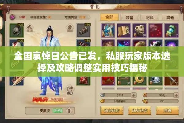 全国哀悼日公告已发，私服玩家版本选择及攻略调整实用技巧揭秘