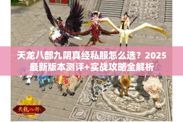 天龙八部九阴真经私服怎么选？2025最新版本测评+实战攻略全解析