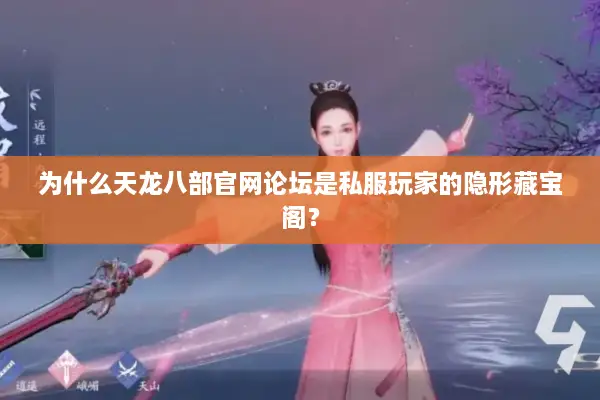 为什么天龙八部官网论坛是私服玩家的隐形藏宝阁？