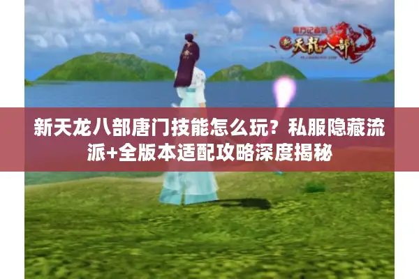 新天龙八部唐门技能怎么玩？私服隐藏流派+全版本适配攻略深度揭秘
