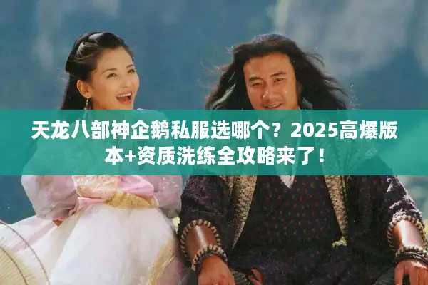 天龙八部神企鹅私服选哪个？2025高爆版本+资质洗练全攻略来了！