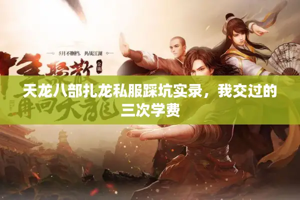 天龙八部扎龙私服踩坑实录，我交过的三次学费