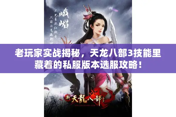 老玩家实战揭秘,天龙八部3技能里藏着的私服版本选服攻略! 老玩家实战揭秘,天龙八部3技能里藏着的私服版本选服攻略!