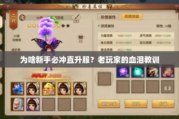 为啥新手必冲直升服？老玩家的血泪教训