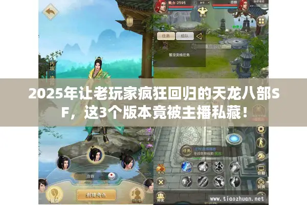2025年让老玩家疯狂回归的天龙八部SF，这3个版本竟被主播私藏！