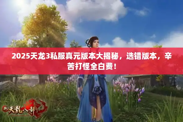 2025天龙3私服真元版本大揭秘，选错版本，辛苦打怪全白费！