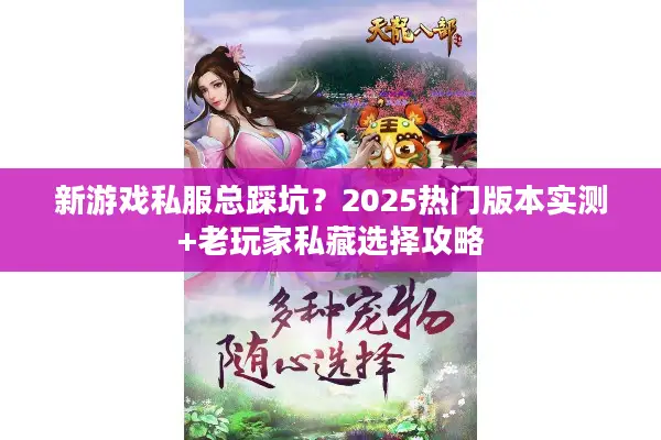 新游戏私服总踩坑？2025热门版本实测+老玩家私藏选择攻略