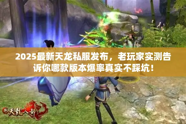 2025最新天龙私服发布，老玩家实测告诉你哪款版本爆率真实不踩坑！
