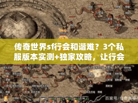 传奇世界sf行会和谐难？3个私服版本实测+独家攻略，让行会不内乱