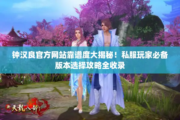 钟汉良官方网站靠谱度大揭秘！私服玩家必备版本选择攻略全收录