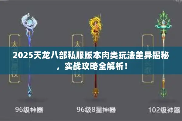 2025天龙八部私服版本肉类玩法差异揭秘，实战攻略全解析！