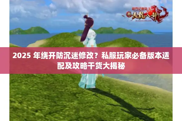 2025 年绕开防沉迷修改？私服玩家必备版本适配及攻略干货大揭秘