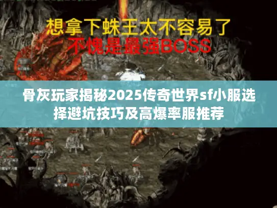 骨灰玩家揭秘2025传奇世界sf小服选择避坑技巧及高爆率服推荐