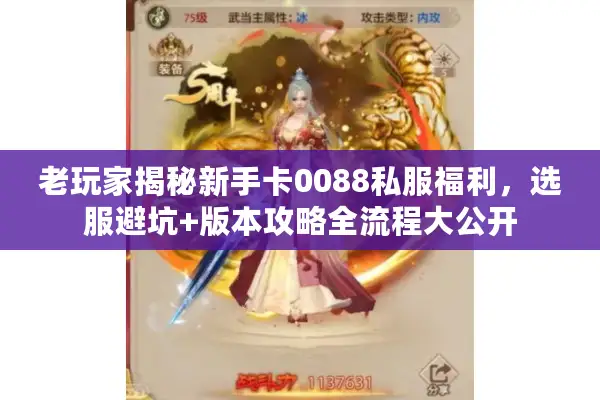 老玩家揭秘新手卡0088私服福利，选服避坑+版本攻略全流程大公开