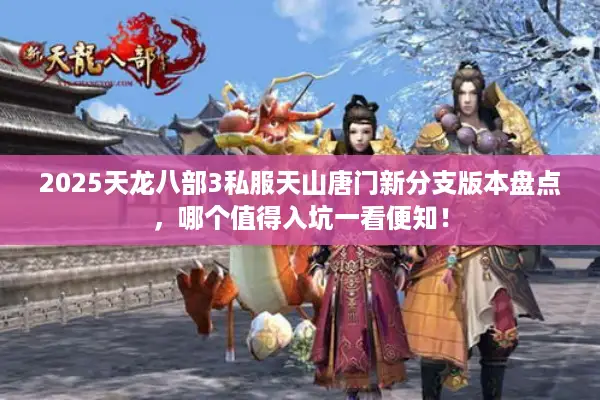 2025天龙八部3私服天山唐门新分支版本盘点，哪个值得入坑一看便知！