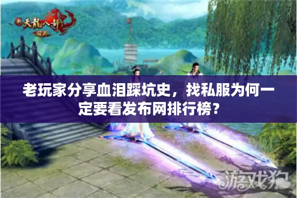 老玩家分享血泪踩坑史，找私服为何一定要看发布网排行榜？