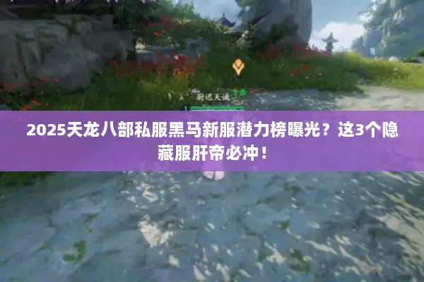 2025天龙八部私服黑马新服潜力榜曝光？这3个隐藏服肝帝必冲！