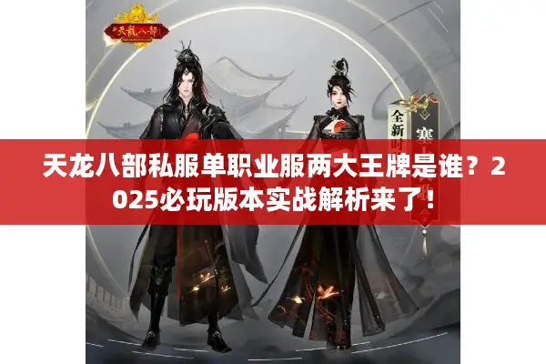 天龙八部私服单职业服两大王牌是谁？2025必玩版本实战解析来了！