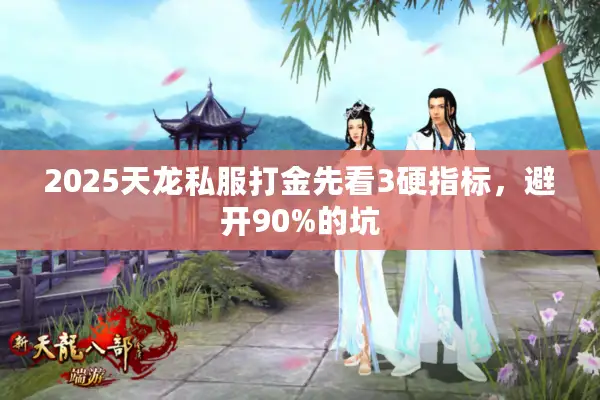 2025天龙私服打金先看3硬指标，避开90%的坑