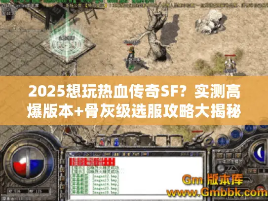 2025想玩热血传奇SF?实测高爆版本+骨灰级选服攻略大揭秘 2025想玩热血传奇SF?实测高爆版本+骨灰级选服攻略大揭秘