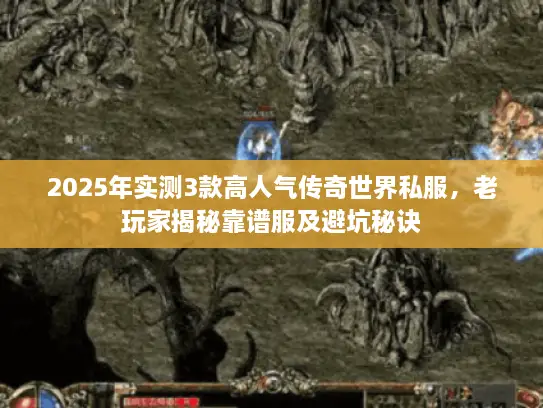 2025年实测3款高人气传奇世界私服,老玩家揭秘靠谱服及避坑秘诀 2025年实测3款高人气传奇世界私服,老玩家揭秘靠谱服及避坑秘诀