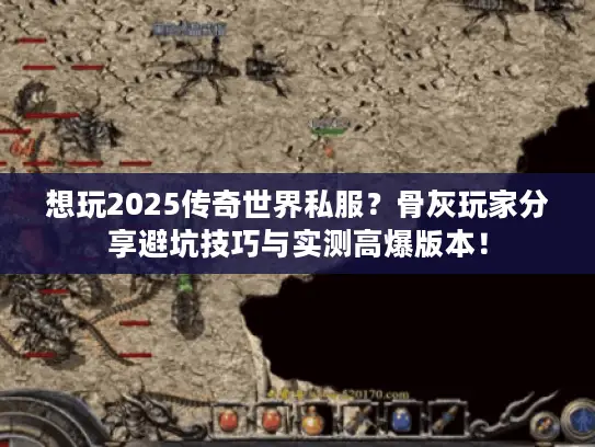 想玩2025传奇世界私服？骨灰玩家分享避坑技巧与实测高爆版本！