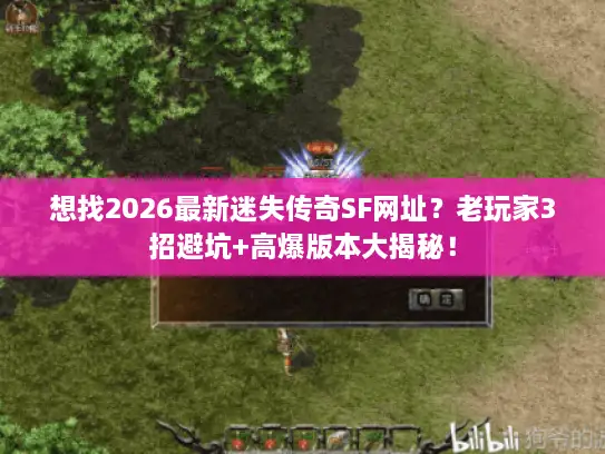 想找2026最新迷失传奇SF网址？老玩家3招避坑+高爆版本大揭秘！