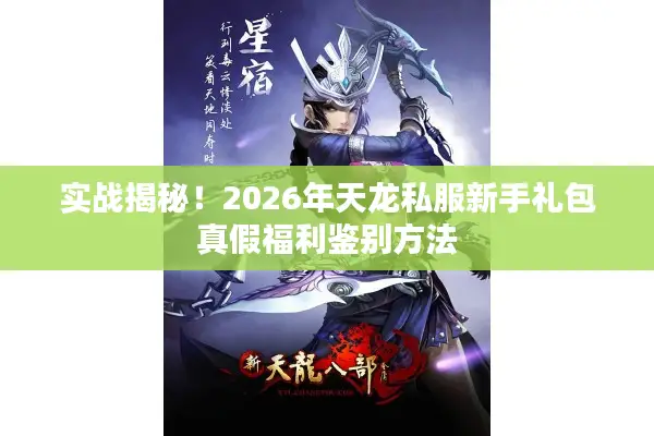 实战揭秘！2026年天龙私服新手礼包真假福利鉴别方法