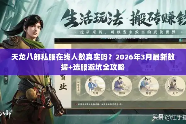 天龙八部私服在线人数真实吗？2026年3月最新数据+选服避坑全攻略
