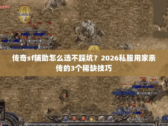 传奇sf辅助怎么选不踩坑？2026私服用家亲传的3个稀缺技巧
