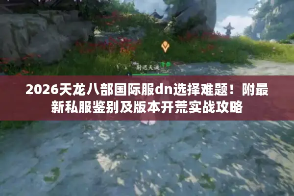 2026天龙八部国际服dn选择难题！附最新私服鉴别及版本开荒实战攻略