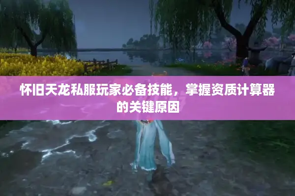 怀旧天龙私服玩家必备技能，掌握资质计算器的关键原因