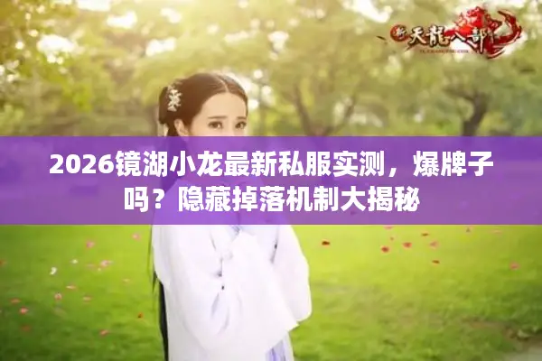 2026镜湖小龙最新私服实测，爆牌子吗？隐藏掉落机制大揭秘