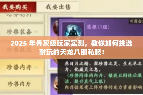 2025 年骨灰级玩家实测,教你如何挑选耐玩的天龙八部私服! 2025 年骨灰级玩家实测,教你如何挑选耐玩的天龙八部私服!