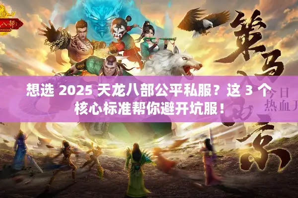 想选 2025 天龙八部公平私服？这 3 个核心标准帮你避开坑服！