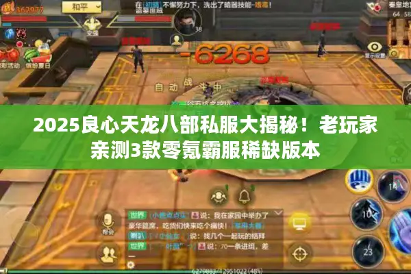 2025良心天龙八部私服大揭秘!老玩家亲测3款零氪霸服稀缺版本 2025良心天龙八部私服大揭秘!老玩家亲测3款零氪霸服稀缺版本