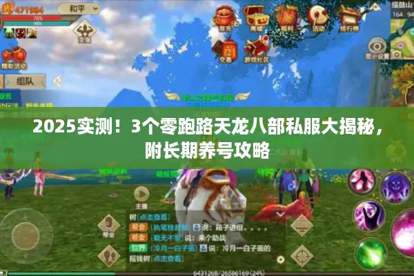 2025实测！3个零跑路天龙八部私服大揭秘，附长期养号攻略