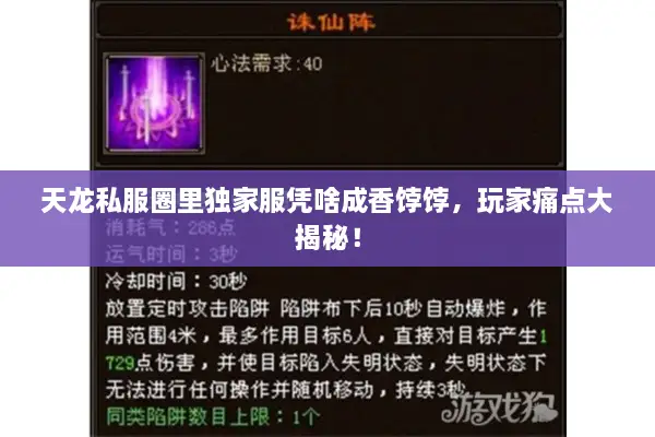 天龙私服圈里独家服凭啥成香饽饽，玩家痛点大揭秘！