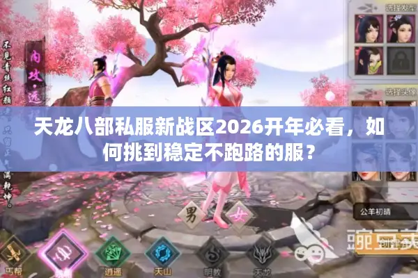 天龙八部私服新战区2026开年必看，如何挑到稳定不跑路的服？