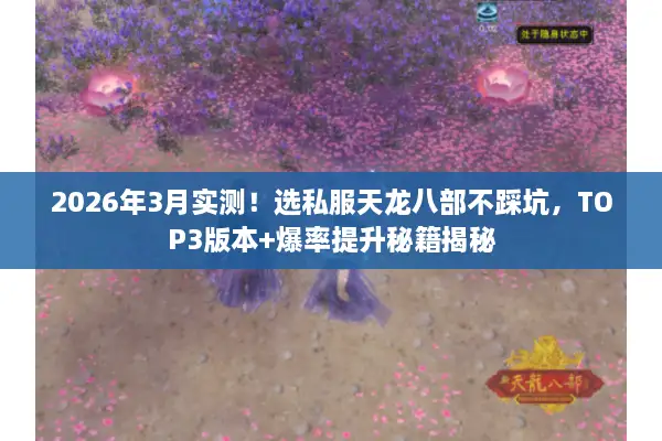 2026年3月实测！选私服天龙八部不踩坑，TOP3版本+爆率提升秘籍揭秘