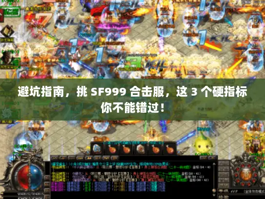 避坑指南,挑 SF999 合击服,这 3 个硬指标你不能错过! 避坑指南,挑 SF999 合击服,这 3 个硬指标你不能错过!