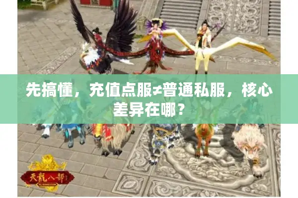 先搞懂，充值点服≠普通私服，核心差异在哪？